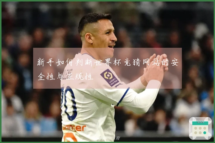 新手如何判断世界杯竞猜网站的安全性与正规性