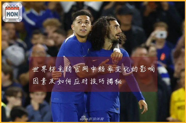 世界杯竞猜官网中赔率变化的影响因素及如何应对技巧揭秘