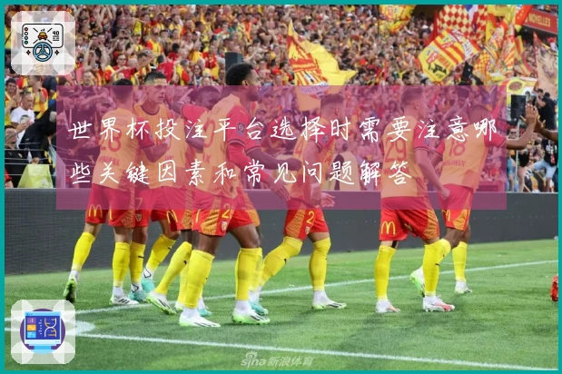 世界杯投注平台选择时需要注意哪些关键因素和常见问题解答