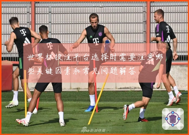 世界杯投注平台选择时需要注意哪些关键因素和常见问题解答