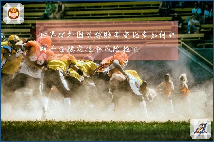 世界杯外围买球赔率变化多如何判断平台稳定性和风险控制