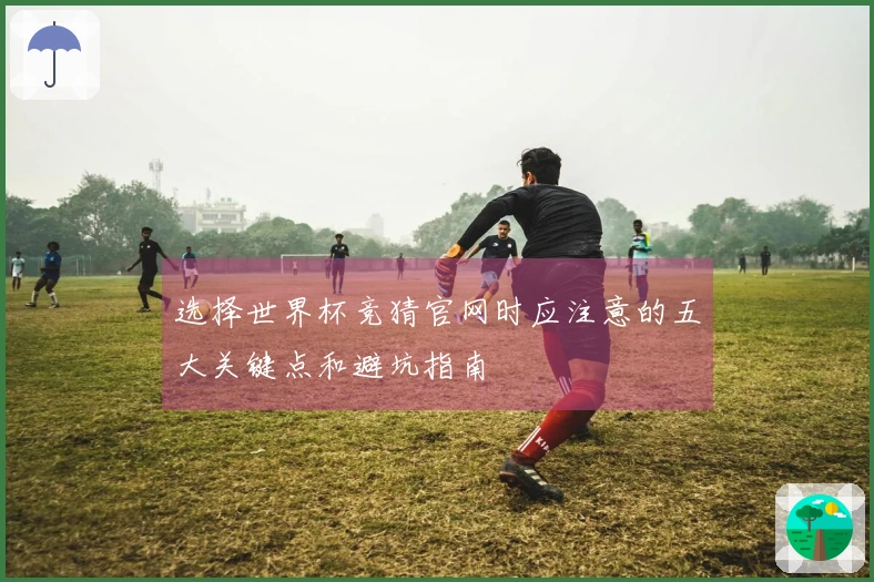 选择世界杯竞猜官网时应注意的五大关键点和避坑指南