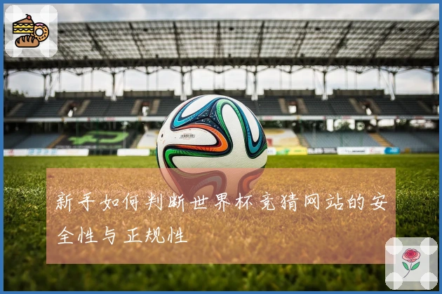 新手如何判断世界杯竞猜网站的安全性与正规性
