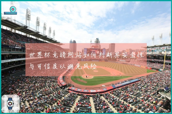 世界杯竞猜网站如何判断其安全性与可信度以避免风险