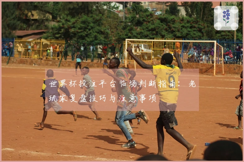 世界杯投注平台临场判断指南：老玩家复盘技巧与注意事项